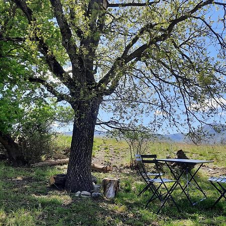 Gite Des Millets En Baronnies Rosans Buitenkant foto