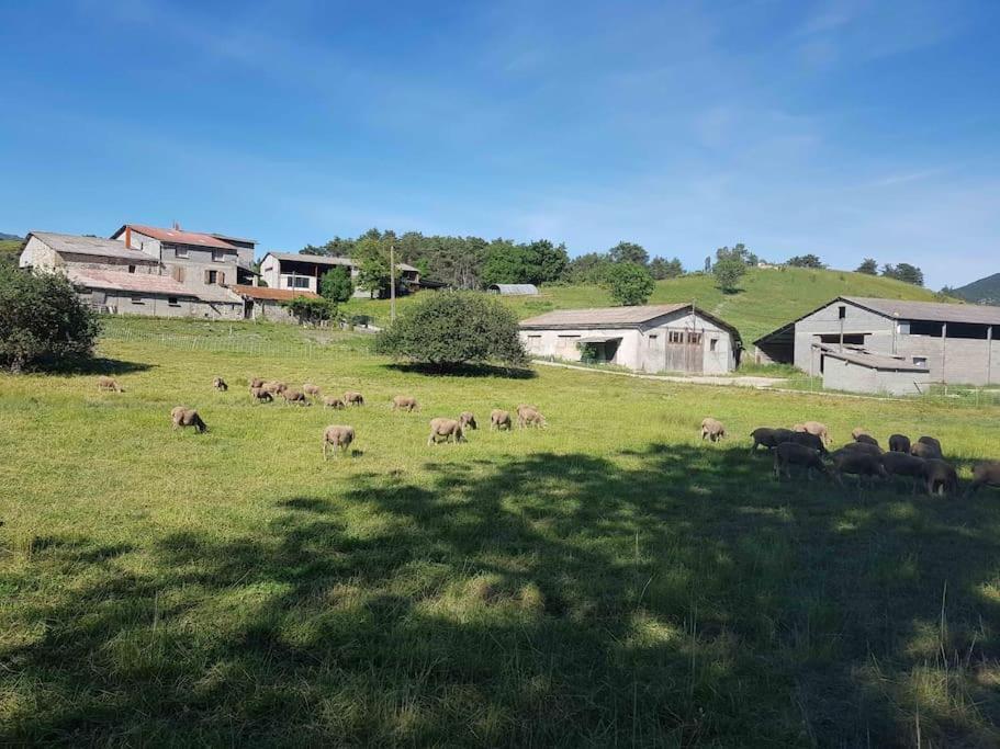 Gite Des Millets En Baronnies Rosans Buitenkant foto